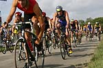  Championnat de France